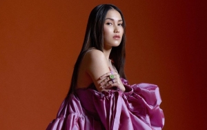 Kolase Peran Ayu Ting Ting Sebelum Populer Beredar Luas, Transformasi Wajah Sang Artis Disorot