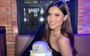Millen Cyrus Ikut Kontes Kecantikan Transgender Miss International Queen 2023, Nama Asli Digunjing