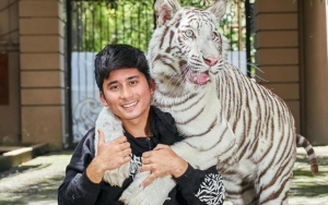 Nekat Berangkat, Risiko Bahaya Yang Dihadapi Alshad Ahmad Kala Pergi Ke Afrika Buat Syok