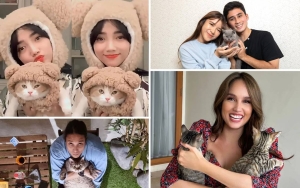 Fuji An Kompakan Topi dengan Si Cebol, Intip Adu Gemes 11 Artis Bareng Kucing