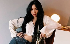 Hwasa Mamamoo Berani Pamer Bra Usai Gestur Sugestif di Panggung Jadi Kontroversi