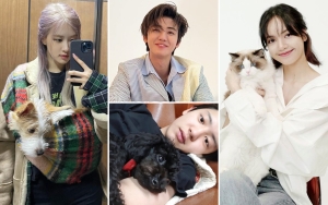 Rose BLACKPINK hingga Jemin NCT, Intip 10 Akun Instagram Peliharaan Idol Dengan Followers Terbanyak