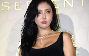 Hwasa MAMAMOO Dikabarkan Pacari Pengusaha 12 Tahun Lebih Tua