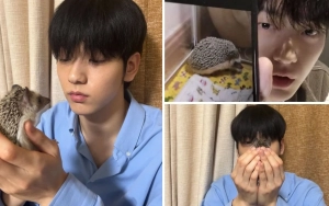 Rest in Love Odi, 7 Kenangan Soobin TXT dengan Sang Landak Mini Kesayangan
