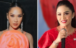 BCL Tumpahkan Isi Hatinya Soal Kris Dayanti