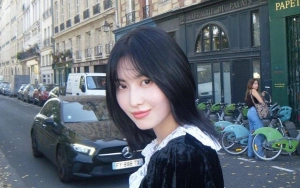 Tampil Menawan di Konser, Tubuh Seksi Nan Bertorot Momo Twice Bikin Takjub
