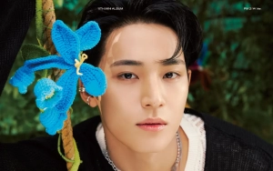 Mingyu SEVENTEEN Vakum Sementara
