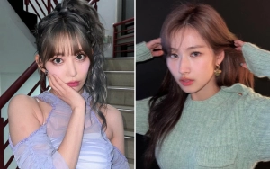 Sakura Miyawaki LE SSERAFIM Bolak-balik Korea-Jepang demi Buatkan Sana TWICE Hadiah