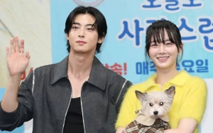 Skill Akting Park Gyu Young Diprotes Cha Eunwoo Saat Syuting 'A Good Day to Be A Dog'