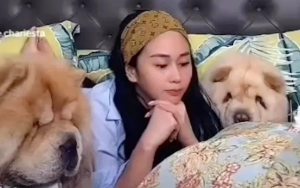 Denise Chariesta Kalem Hadapi Penetapan Sebagai Tersangka Pencemaran Nama Baik