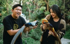 Denny Caknan Tulis Pesan Menyentuh untuk Bella Bonita Soal Buah Hati