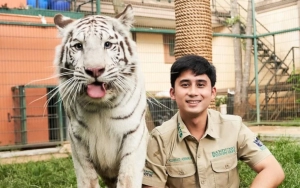 Detik-Detik Alshad Ahmad Diserang Harimau Putih Peliharaannya Buat Ngilu