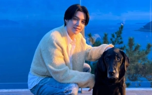 Lingkungan Kerja Suga BTS Mulai Diselidiki Petinggi Militer Imbas Kasus DUI