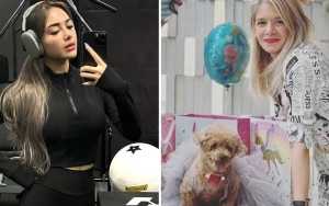 Amanda Manopo Digoda Jadi Ayang Arya Saloka usai Kakak Putri Anne Sindir Pelakor
