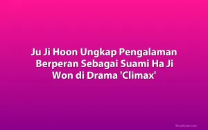 Ju Ji Hoon Ungkap Pengalaman Berperan Sebagai Suami Ha Ji Won di Drama 'Climax'