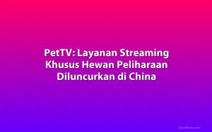 PetTV: Layanan Streaming Khusus Hewan Peliharaan Diluncurkan di China