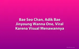 Bae Seo Chan, Adik Bae Jinyoung Wanna One, Viral Karena Visual Menawannya