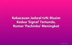 Kekacauan Jadwal tvN: Musim Kedua 'Signal' Tertunda, Rumor 'Pachinko' Meningkat