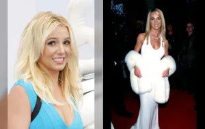 Britney Spears Mengaku Bersalah dalam Kasus DUI, Hindari Penjara