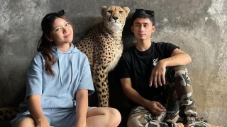 Tiara Andini Didesak Tinggalkan Alshad Ahmad, Kondisi Terkini Dibongkar Manajer
