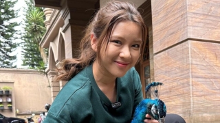 Tiara Andini Terbang Ke Thailand Di Tengah Isu Miring Alshad Ahmad, Caption Bikin Khawatir