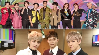 Langgengnya Super Junior Ikut Dibahas Efek Masalah Kontrak EXO-CBX