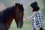 Dianggap Kuda Pembawa Sial, Trailer Film 'JO Sahabat Sejati' Disambut Reaksi Sedih 