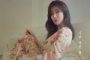 Jauh Dari Kata Sederhana, Pernikahan Lee Haeri Davinchi Telan Biaya Selangit