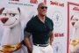 Dwayne Johnson Ikut Rayakan 'DC League of Super-Pets' Dapat Skor Memuaskan di Rotten Tomatoes