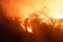 Di Tengah Gelombang Panas Baru Prancis, Picu Kebakaran Hutan Hebat