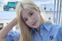 Chorong Apink Selamatkan 2 Anak Kucing yang Hampir Jalani Eutanasia