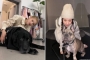 Miyeon (G)I-DLE Hampir Miliki Nama Panggung 'Bajul Ijo', Intip 10 Potret Bestie Dengan Anjing