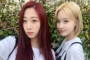 Cara Winter Ingatkan aespa OT4 Disambut Adem, Giselle Komentari Gemas