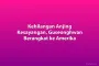 Kehilangan Anjing Kesayangan, Guseonghwan Berangkat ke Amerika