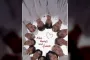 Seventeen Umumkan Rencana Rekontrak dengan 13 Anggota, Tantang Keabadian