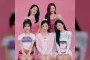 Joy Red Velvet Siap Menyongsong Karier Kedua dengan Lisensi Grooming Anjing