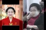 Debut Megawati Hangestri di Hyundai Hillstate Jadi Sorotan di Ajang Voli