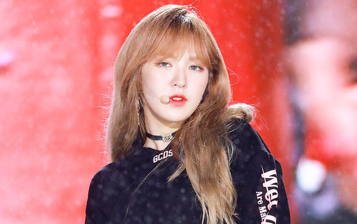 Gara-Gara Foto Ini, Wendy Red Velvet Dibilang Mirip Bule