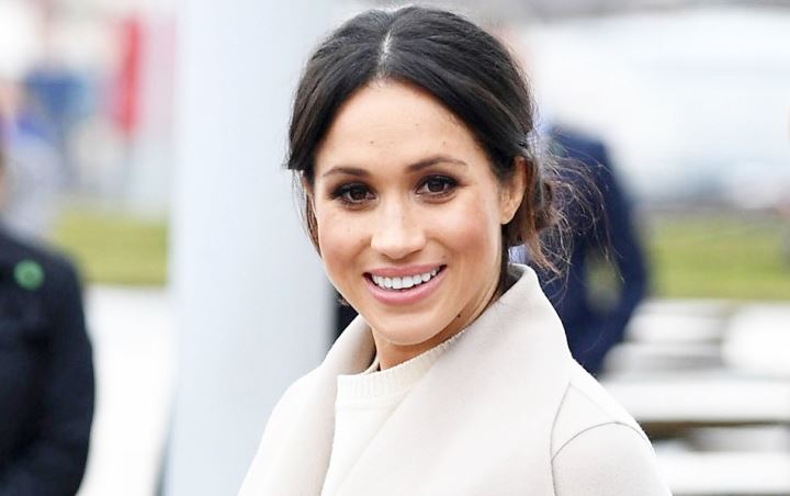 fakta pernikahan pangeran Harry-Meghan