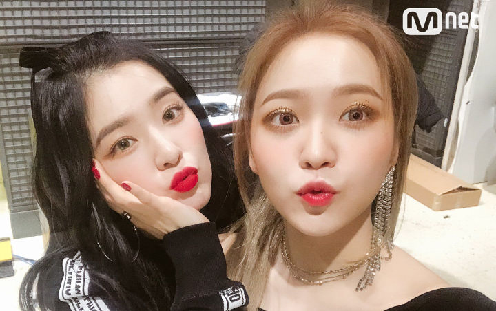 Dapat Hadiah Bunga di Coming of Age Day, Yeri Malah Goda Irene Sudah Tua