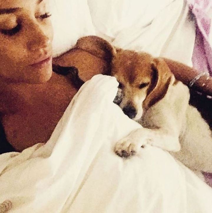 Meghan Tak Bisa Memeluk Anjing Kesayangannya Lagi