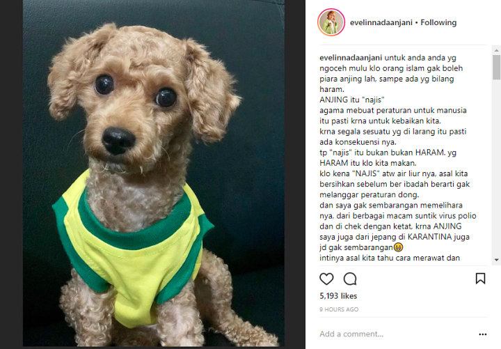 Pandangan Evelyn Nada Anjani Tentang Memelihara Anjing
