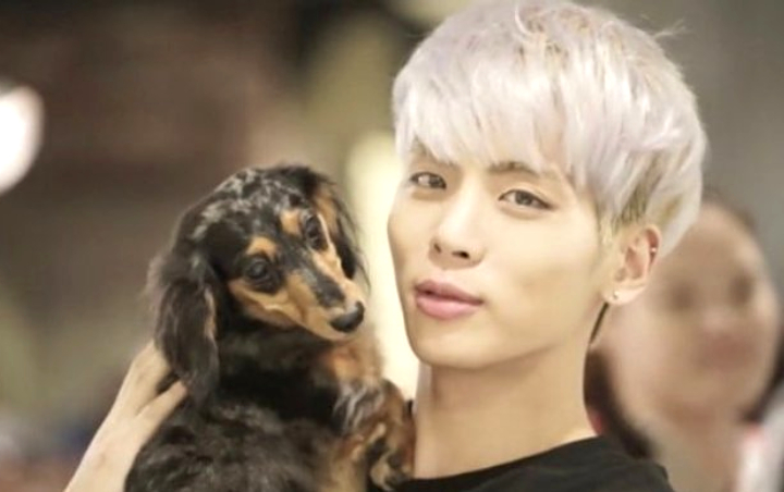 Sempat Dibantu Tae Yeon, Anjing Jonghyun Yang Hilang Kini Sudah Ditemukan