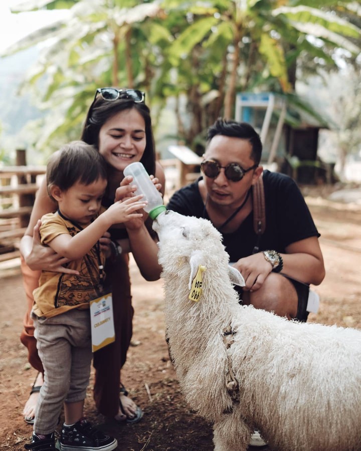 Main Bareng Hewan di Thailand