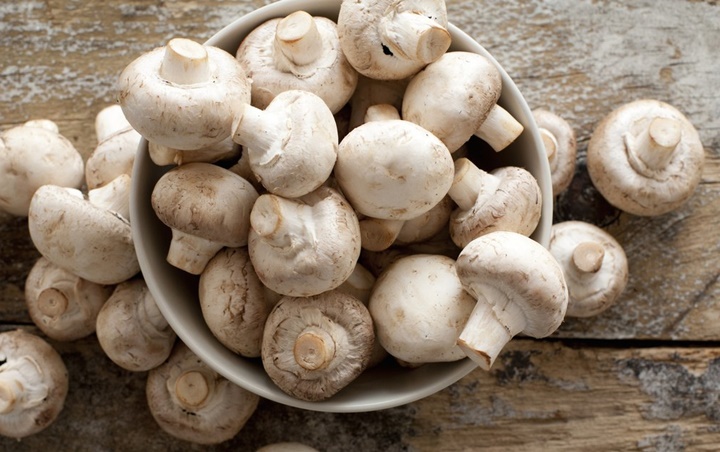 2. Jamur