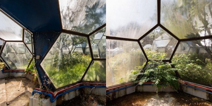 Green House yang Ditinggalkan