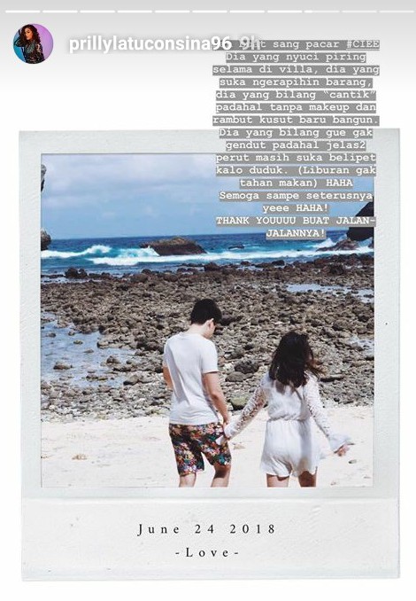 scresnshot-prily