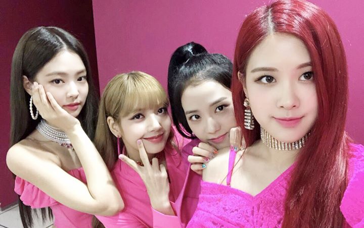 Lirik Lagu Blackpink Ddu Du Ddu Indonesia Arsia Lirik Lirik Lagu Blackpink Ddu Du Ddu Indonesia Arsia Lirik