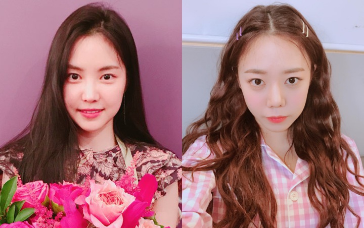 Beda Banget di Comeback A Pink, Na Eun-Namjoo Lagi-Lagi Dituding Oplas