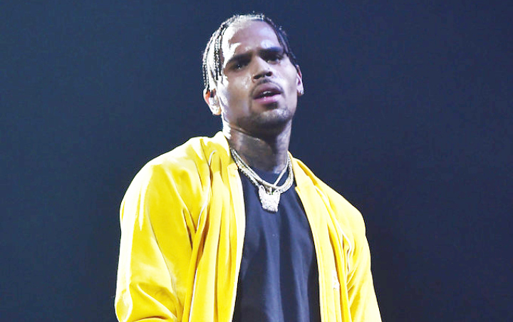 Terungkap, Ternyata Inilah Penyebab Chris Brown Ditangkap